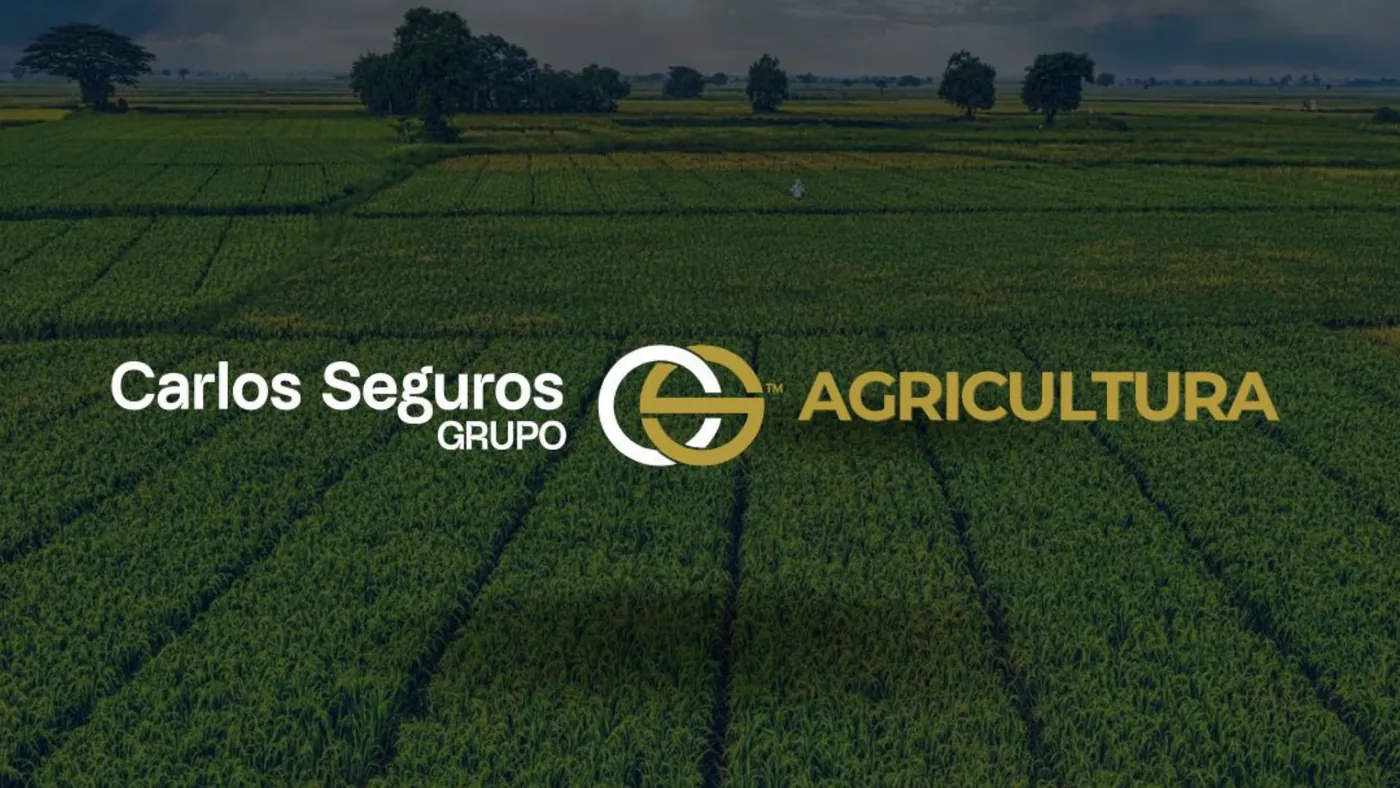 Vista aérea de campos agrícolas usada na apresentação Carlos Seguros Agricultura.
